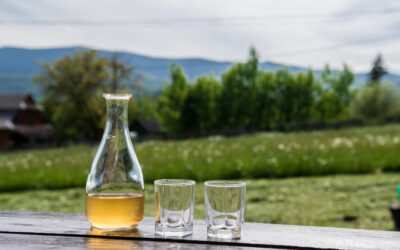 The Benefits of Mead: Is Mead a “Healthy” Alcohol?